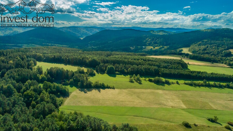 gorlicki, Uście Gorlickie, Kunkowa, małopolskie, 1,53ha w Kunkowej - Definicja Beskidu Niskiego.