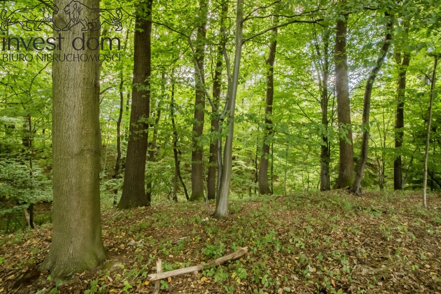 gorlicki, Gorlice, Gorlice, Sokół, Działka budowlana w Sokole 0,31ha - okazja!