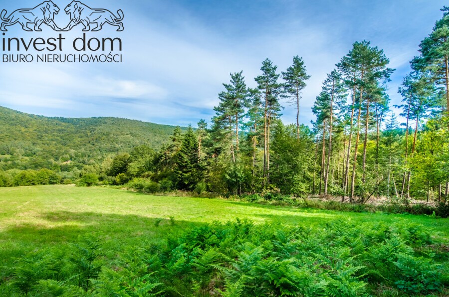 gorlicki, Sękowa, Małastów, małopolskie, Beskid Niski jak z pocztówki — 2,03 ha ciszy, Małastów.