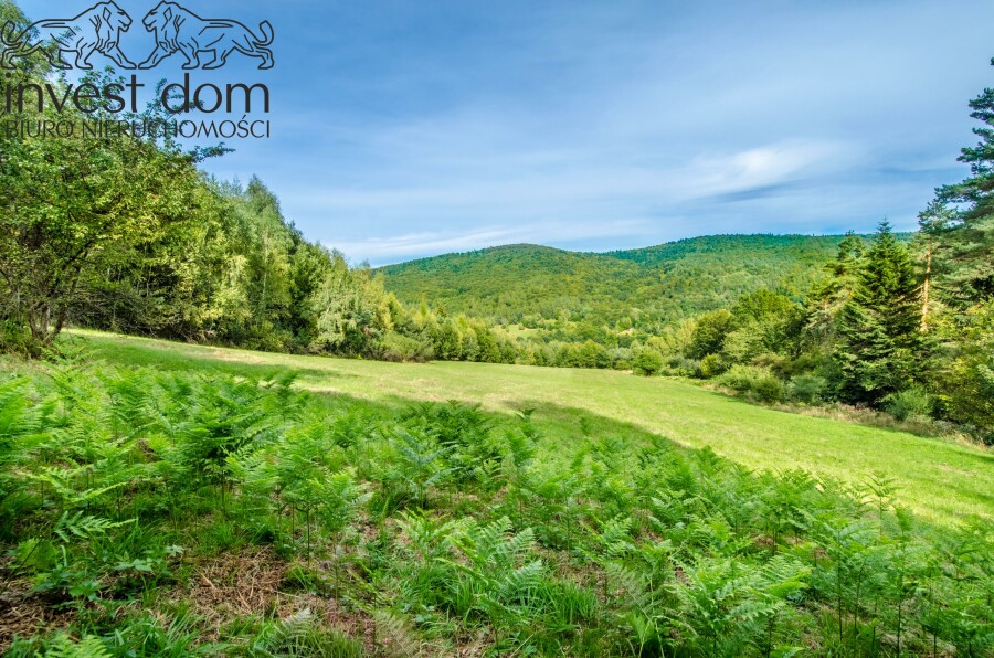 gorlicki, Sękowa, Małastów, małopolskie, Beskid Niski jak z pocztówki — 2,03 ha ciszy, Małastów.