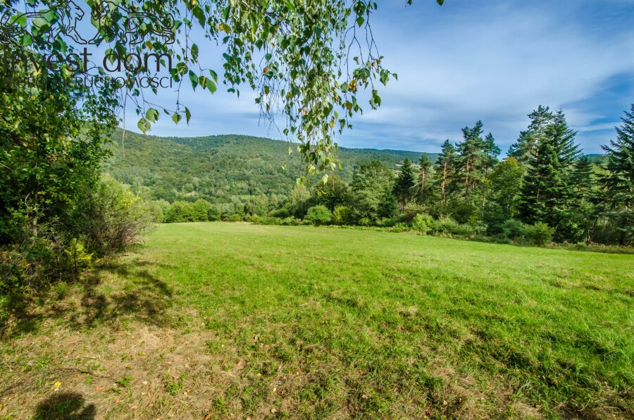 gorlicki, Sękowa, Małastów, małopolskie, Beskid Niski jak z pocztówki — 2,03 ha ciszy, Małastów.