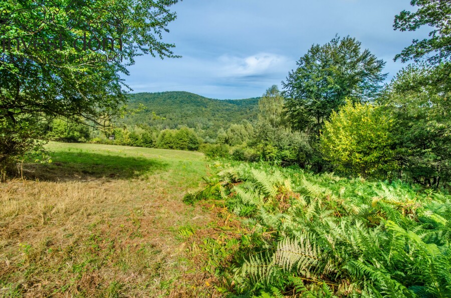 gorlicki, Sękowa, Małastów, małopolskie, Beskid Niski jak z pocztówki — 2,03 ha ciszy, Małastów.