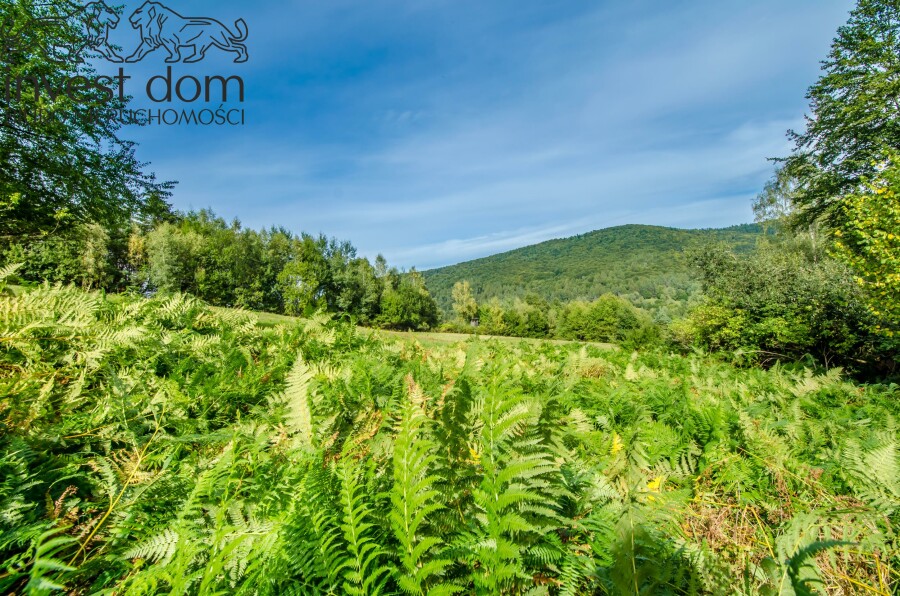 gorlicki, Sękowa, Małastów, małopolskie, Beskid Niski jak z pocztówki — 2,03 ha ciszy, Małastów.