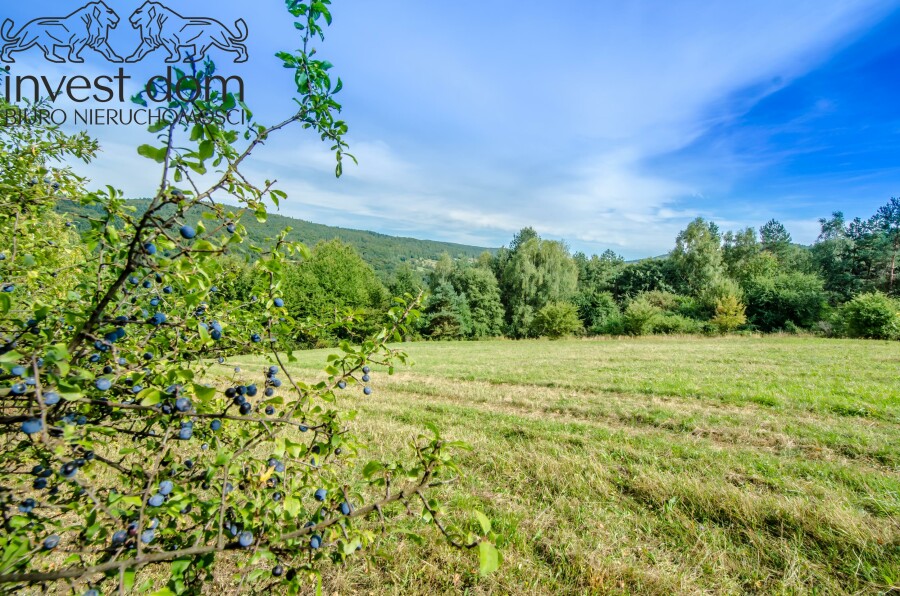 gorlicki, Sękowa, Małastów, małopolskie, Beskid Niski jak z pocztówki — 2,03 ha ciszy, Małastów.
