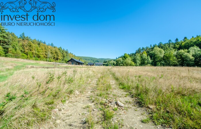 małopolskie, gorlicki, Działka nad rzeką Czarną. Beskid Niski w swojej najspokojniejszej odsłonie.