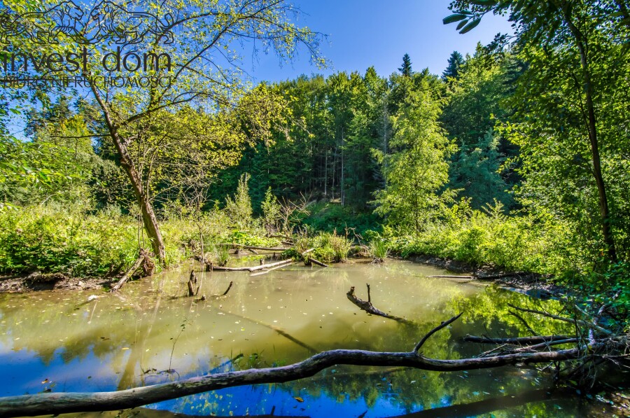 gorlicki, Uście Gorlickie, Śnietnica, małopolskie, Działka nad rzeką Czarną. Beskid Niski w swojej najspokojniejszej odsłonie.