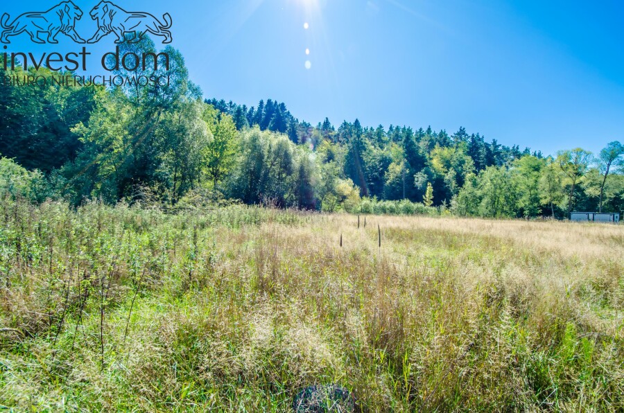 gorlicki, Uście Gorlickie, Śnietnica, małopolskie, Działka nad rzeką Czarną. Beskid Niski w swojej najspokojniejszej odsłonie.
