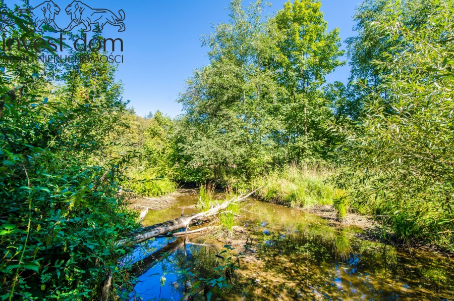 gorlicki, Uście Gorlickie, Śnietnica, małopolskie, Działka nad rzeką Czarną. Beskid Niski w swojej najspokojniejszej odsłonie.