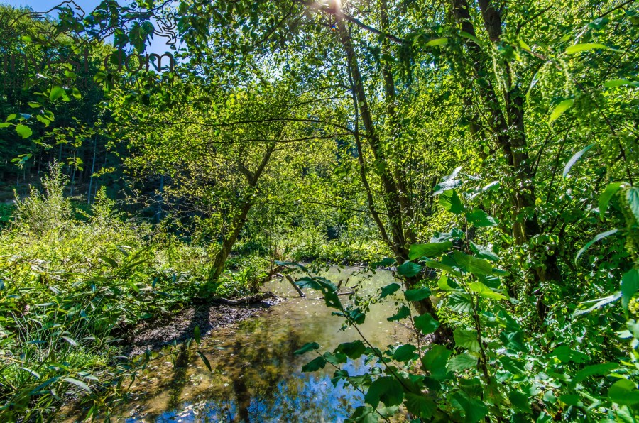 gorlicki, Uście Gorlickie, Śnietnica, małopolskie, Działka nad rzeką Czarną. Beskid Niski w swojej najspokojniejszej odsłonie.