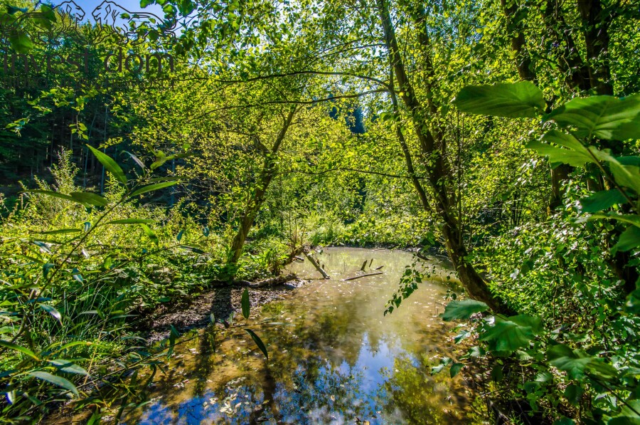 gorlicki, Uście Gorlickie, Śnietnica, małopolskie, Działka nad rzeką Czarną. Beskid Niski w swojej najspokojniejszej odsłonie.