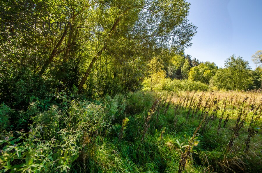 gorlicki, Uście Gorlickie, Śnietnica, małopolskie, Działka nad rzeką Czarną. Beskid Niski w swojej najspokojniejszej odsłonie.