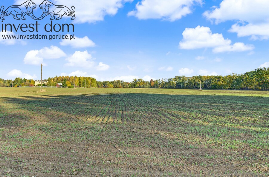 gorlicki, Biecz, Libusza, małopolskie, Siedlisko z duszą pod Bieczem – dom, sad i 1,39 ha przestrzeni dla Twojej przyszłości